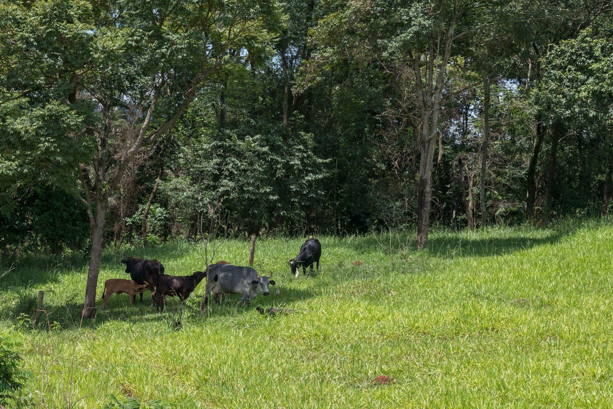 Estancia Das Angolas - Inhotim Brumadinho Kültér fotó